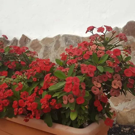 Apartamento Casa Reyes